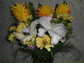 Фотография Chigvinceva Танюшки