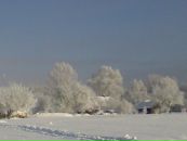 Віталік Луць фотография #2 (источник - https://vk.com/id106021396)