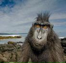 Фотография Мун Иветы