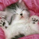 Іннуся Варварич фотография #42 (источник - https://vk.com/id160732866)