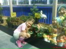 Ліза Лисак фотография #16 (источник - https://vk.com/id155955306)