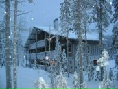 Фотография Тренева Элина