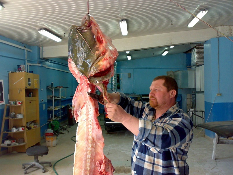 Александр Олейник фотография #14