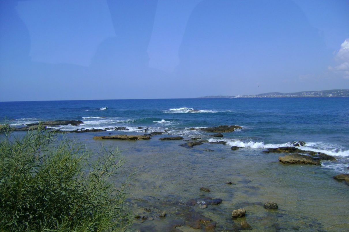 Princessa София фотография #18