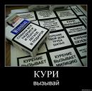 Антон Random фотография #4 (источник - https://vk.com/id3982068)