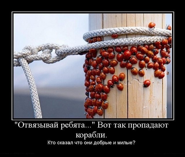 Olga Olla фотография #5