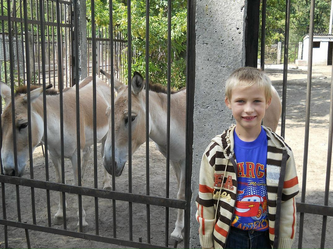Дмитрий Шевченко фотография #30