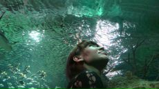 Фотография Хмары Гали