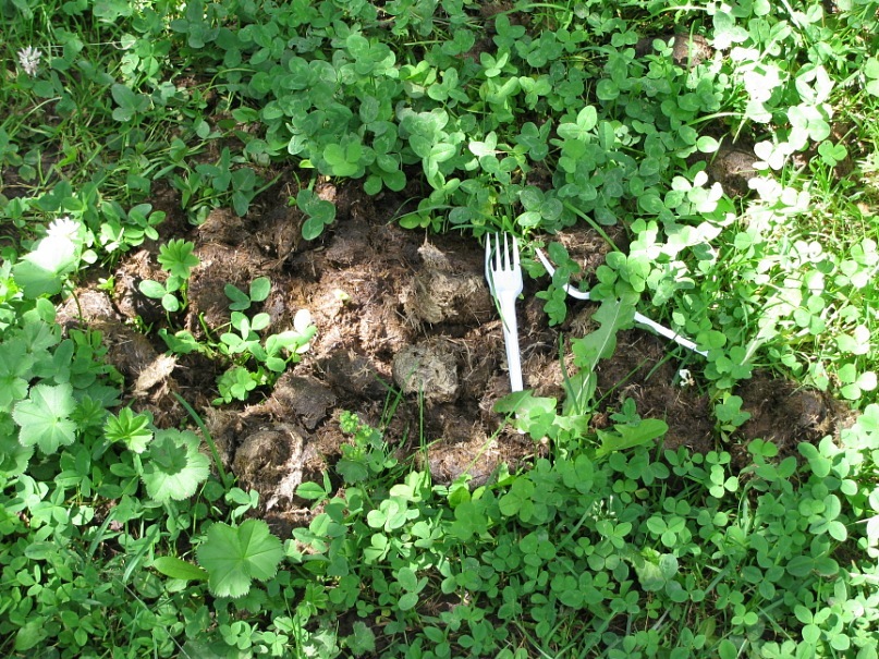 Дмитрий Волосников фотография #37