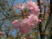 Фотография Башмаковой Анны