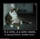 Фотография Халандача Юрия