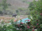 Клевый Парень фотография #25 (источник - https://vk.com/id391001)