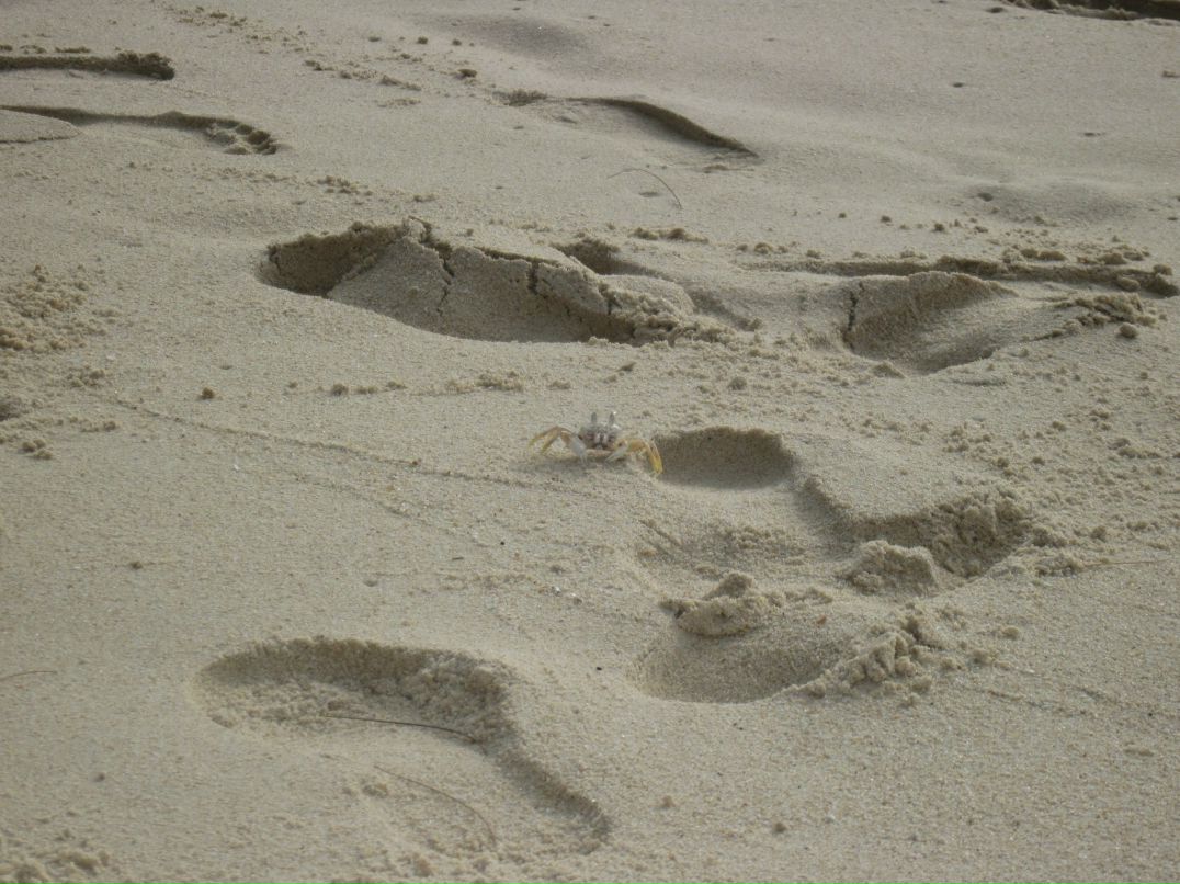 Людмила Чернова фотография #48