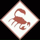 Фотография Якимушкина Степана