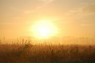 Михаил Яковлев фотография #21 (источник - https://vk.com/id2403530)