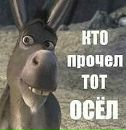 Дмитро Пасічник фотография #37 (источник - https://vk.com/id178158356)