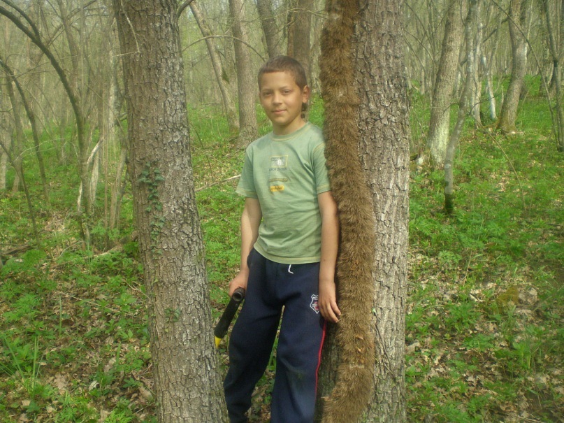 Александр Плотников фотография #29