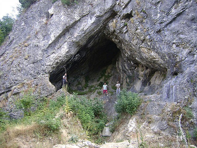 Ali şirin фотография #39