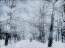 Світлана Вильотник фотография #41 (источник - https://vk.com/id142194125)