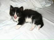 Антон Поштаренко фотография #21 (источник - https://vk.com/id928604)