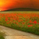 Марічка Билинь фотография #29 (источник - https://vk.com/id13386712)