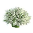 Αртур Κудрявцев фотография #2 (источник - https://vk.com/id122439059)