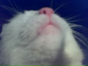 Фотография Литвиновой Анжелики