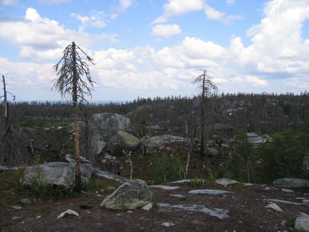 Иван Паньков фотография #42