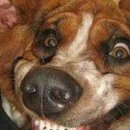 Валерій Мурашко фотография #37 (источник - https://vk.com/id151703099)