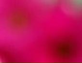 Ірина Бобиляк фотография #12 (источник - https://vk.com/id8948868)