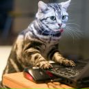 Фотография Емельянова Владимира