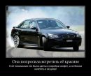 Фотография 700 Колька