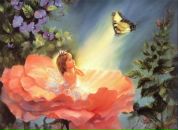 Фотография Королёв Евгений