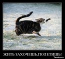 Фотография Козлова Вера