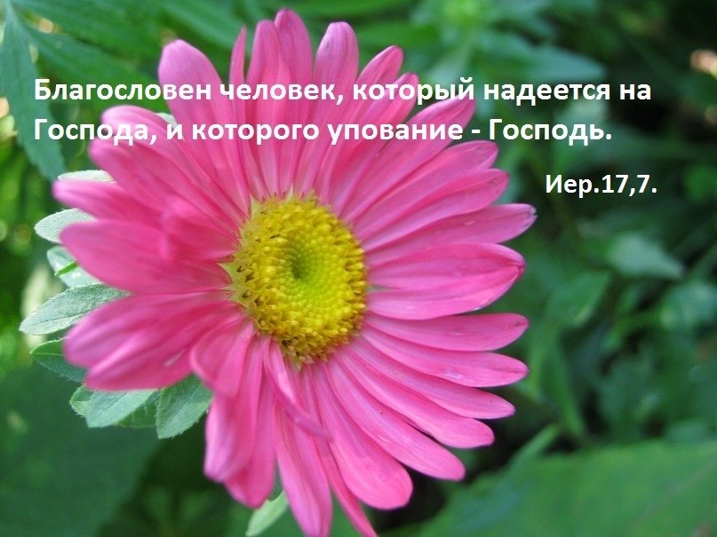 Era New фотография #34