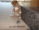 Андруся:)) Лозинська фотография #20 (источник - https://vk.com/id121655750)