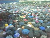 Фотография Смирнова Александра