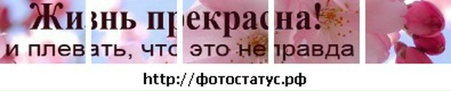 Вікторія Кузка фотография #23 (источник - https://vk.com/id134995571)