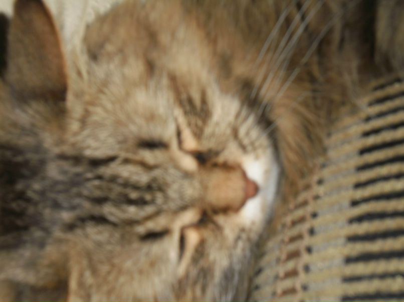 Женя Дмитриев фотография #29