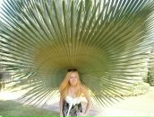 Фотография Шулеповой Таисии