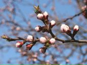 Фотография Акулинушкина Сергея