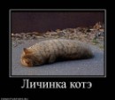 Андрій Піхурко фотография #21 (источник - https://vk.com/id16113506)