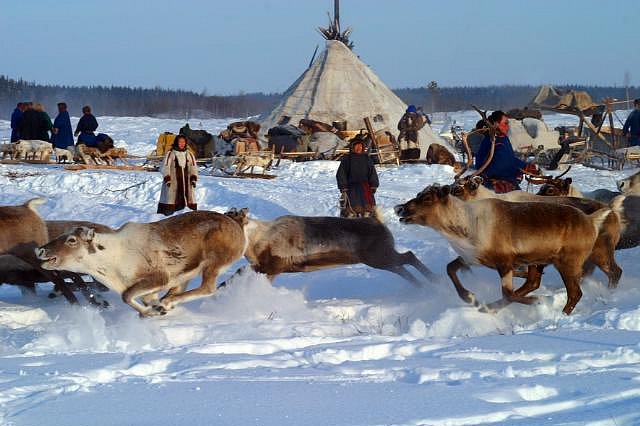 Сергей Розе фотография #23