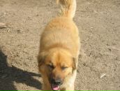 Фотография Хазовой Маши