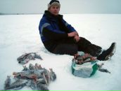 Фотография Skier Roma