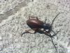  фотография #42