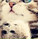 Марія Козак фотография #6 (источник - https://vk.com/id148871802)