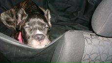 Фотография Марченко Надежды