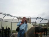 Фотография Жуковой Елены