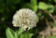 Ігор Забора фотография #50 (источник - https://vk.com/id4502120)